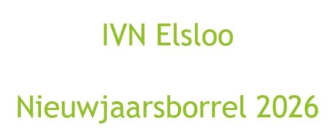 Tekst: "IVN Elsloo Nieuwjaarsborrel 2026" in groene letters op witte achtergrond.