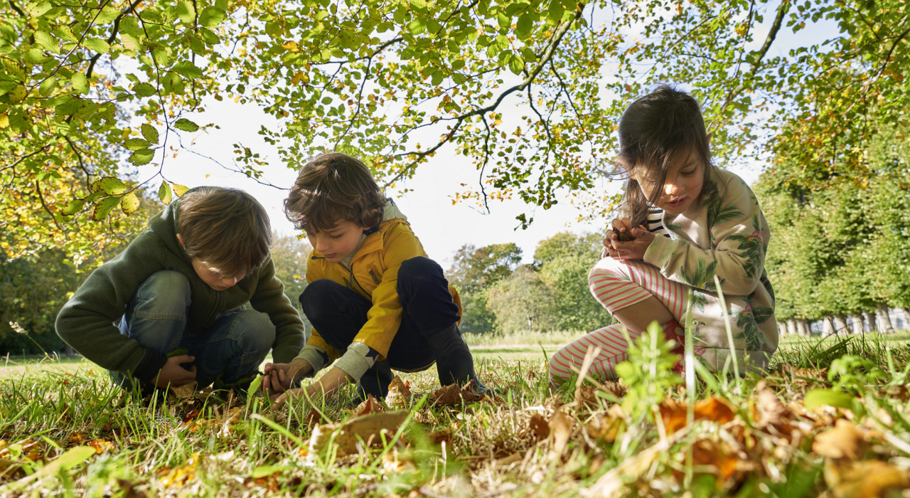 IVN Emmen-Coevorden brengt natuureducatie naar de kinderopvang