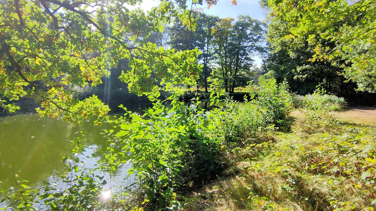 Nationale Natuurwerkdag