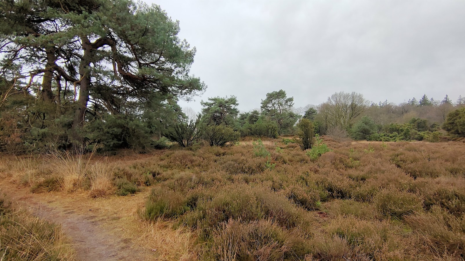 wandelen