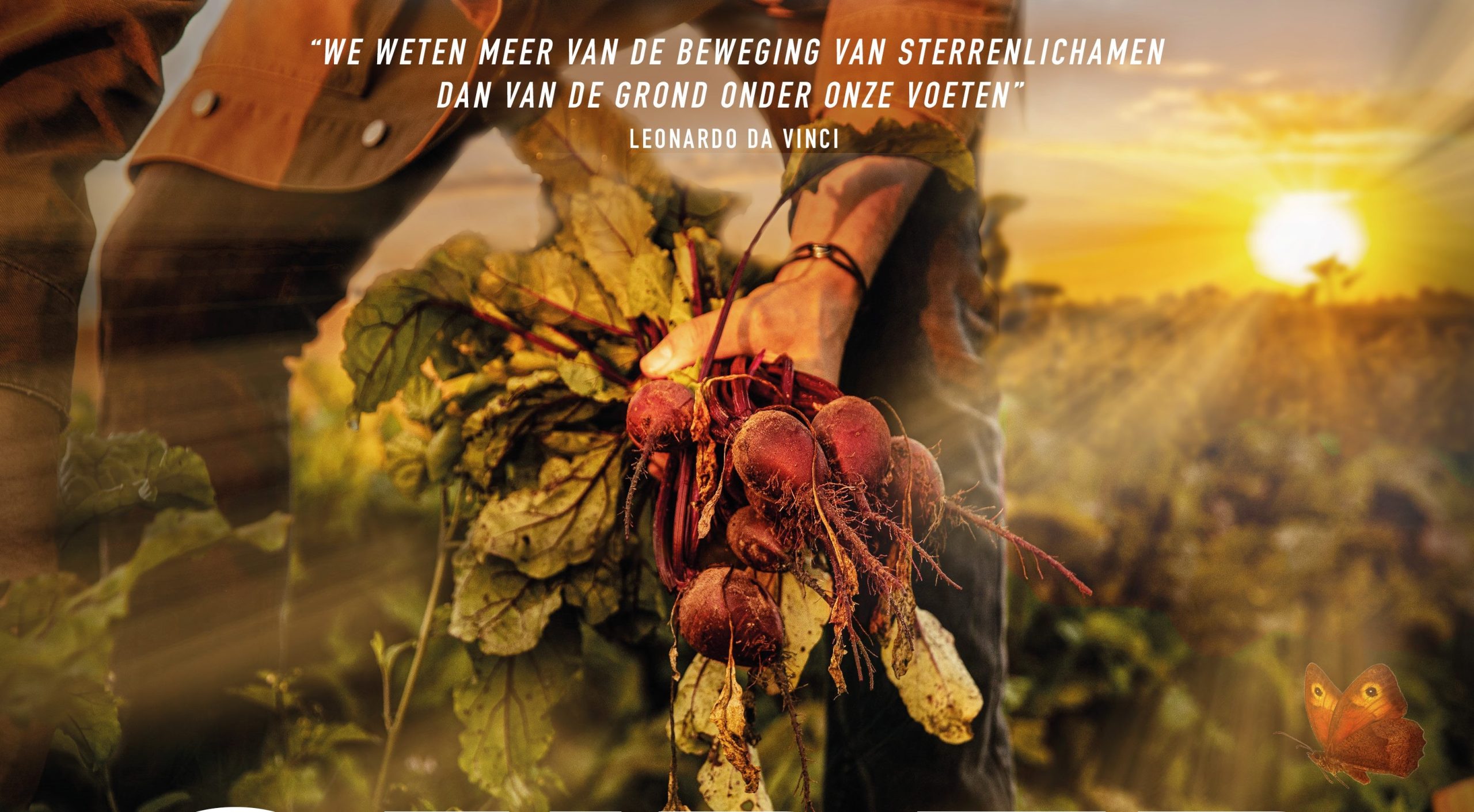 Man oogst bieten bij zonsondergang met een vlinder in beeld, Leonardo da Vinci citaat erboven.