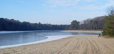 Zandstrand met een bevroren meer en bomen onder een gedeeltelijk bewolkte blauwe lucht.