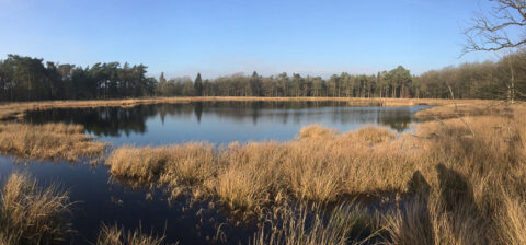 Rustig meer omringd door graslanden en bos onder een heldere blauwe hemel.