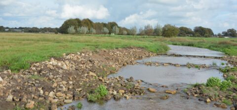 Landelijk landschap met kronkelende beek, grasvelden en bomen op de achtergrond onder een bewolkte hemel.