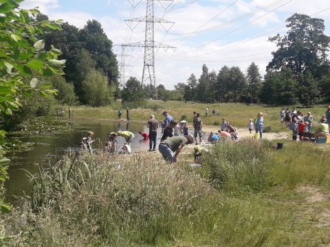 Gidsengids Zomer 2022