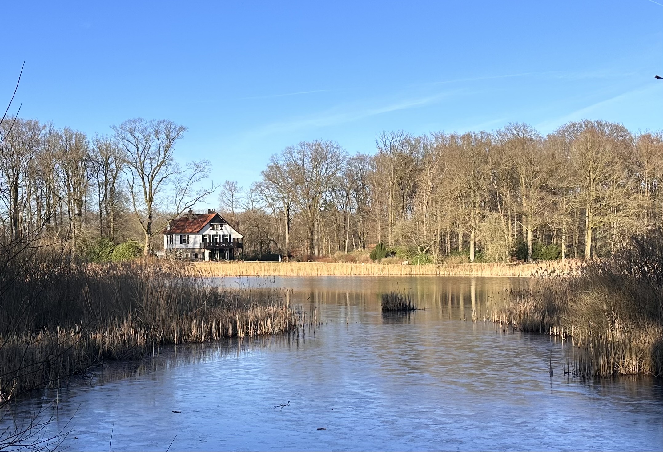 Huis aan de rand van een bos met bevroren vijver op voorgrond en blauwe lucht.