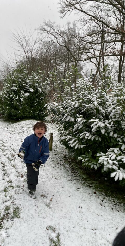 Jongen in sneeuwballengevecht, lacht in besneeuwd park met groene struiken.