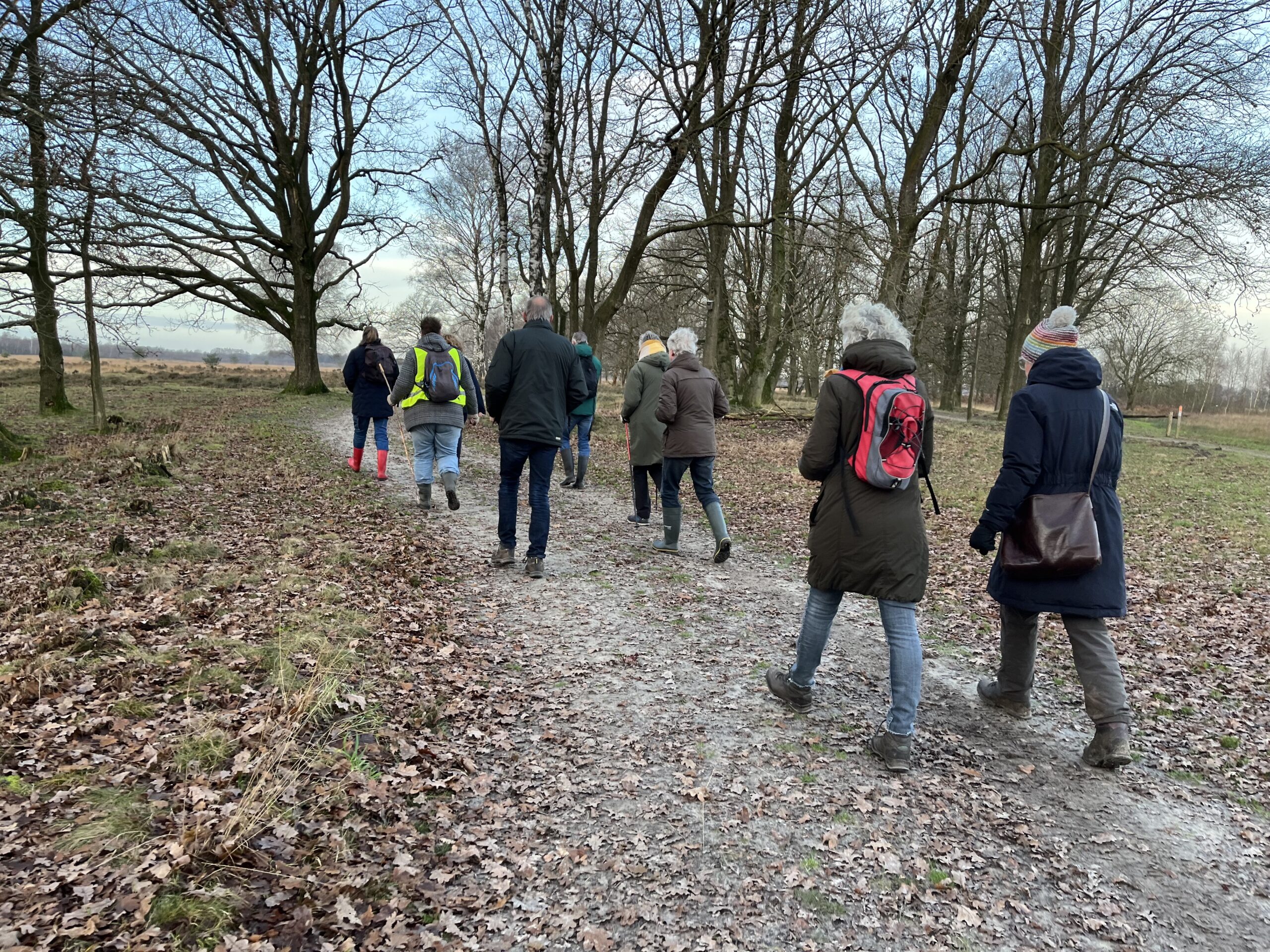 Mensen wandelen in winterkleding op een bospad omringd door kale bomen.