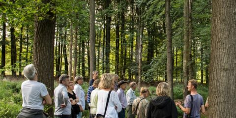 Groep mensen luistert naar een gids in een dicht bos tijdens een wandeling.
