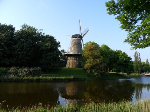 Natuur in de stenen stad