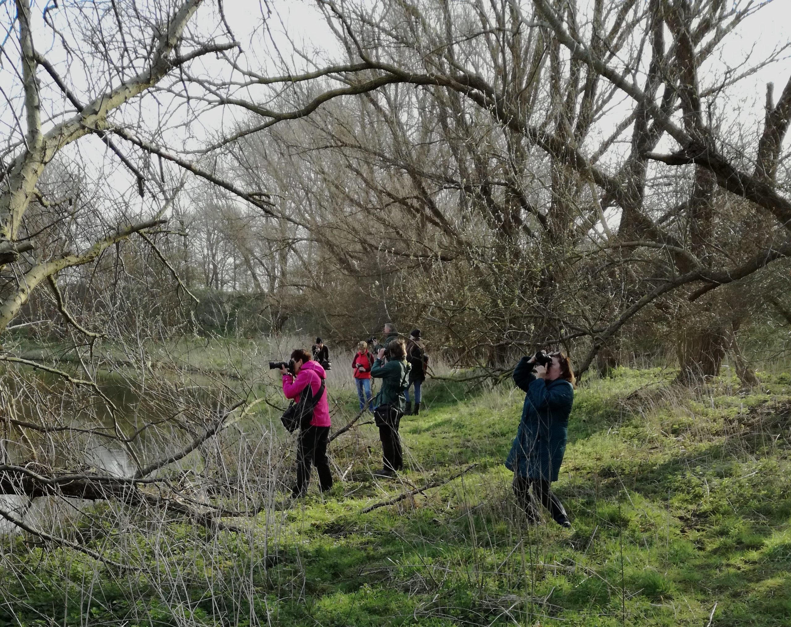 Fotocursus Walcheren