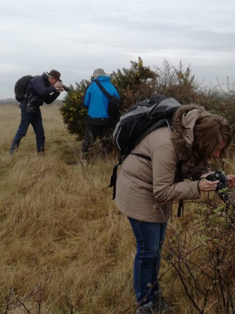 Drie mensen nemen foto's van planten in een veld met gras en struiken.