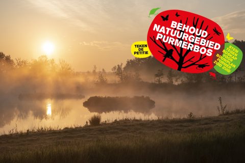 Behoud natuur Purmerbos, geen boskap voor bouwplan Purmer Zuid Zuid