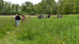 Mensen lopen op een pad door hoog gras in een weelderige, groene omgeving.
