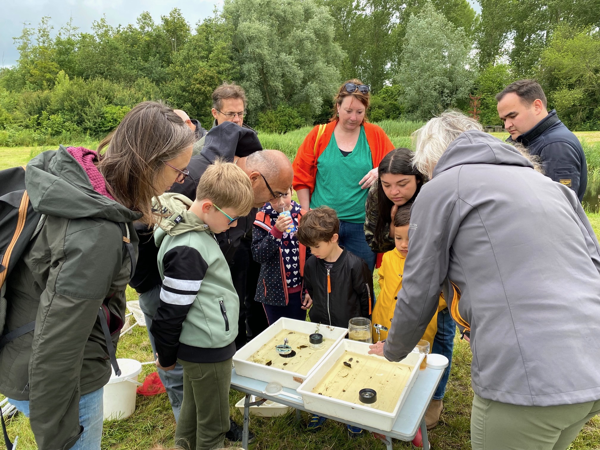 Groep mensen onderzoekt natuurvondsten op een buitenlocatie rond een tafel met bakken en potten.