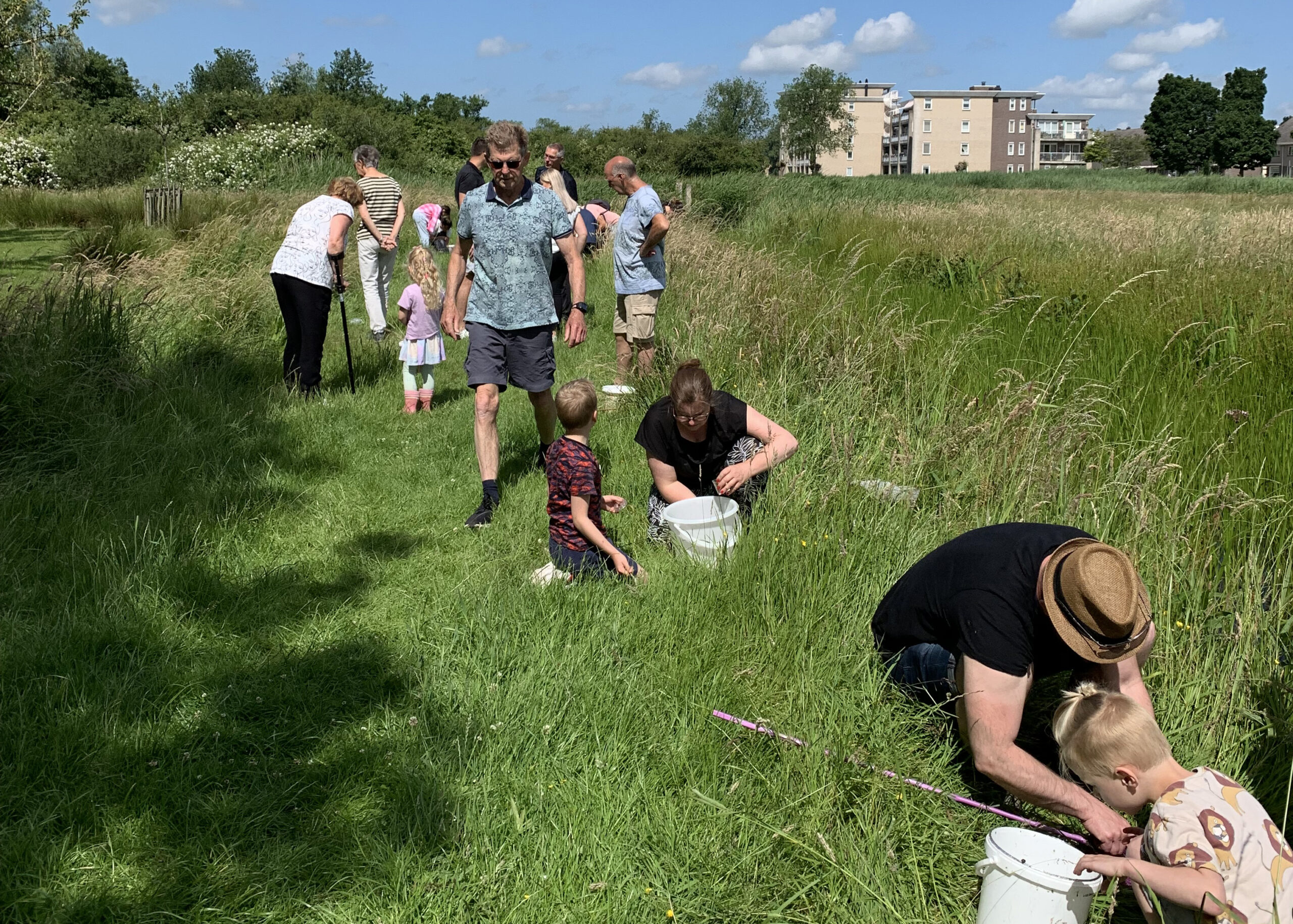 Mensen en kinderen onderzoeken gras met emmers in een open veld op een zonnige dag.