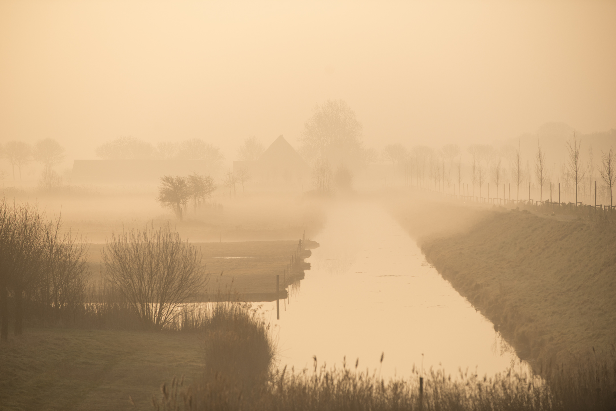 Mistig landschap met kanaal, bomen en vaag silhouet van een gebouw in zachte ochtendgloed.