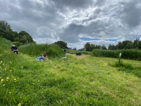 Mensen ontspannen op een grasveld met boeken, omgeven door hoge grassen en bewolkte hemel.