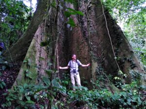 Een persoon staat naast een enorme boom in een dichtbegroeid, groen bos.