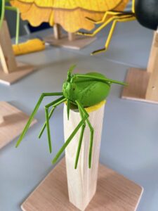 Groene kunststof spin op houten staafje, met gele en zwarte achtergrondmodellen.