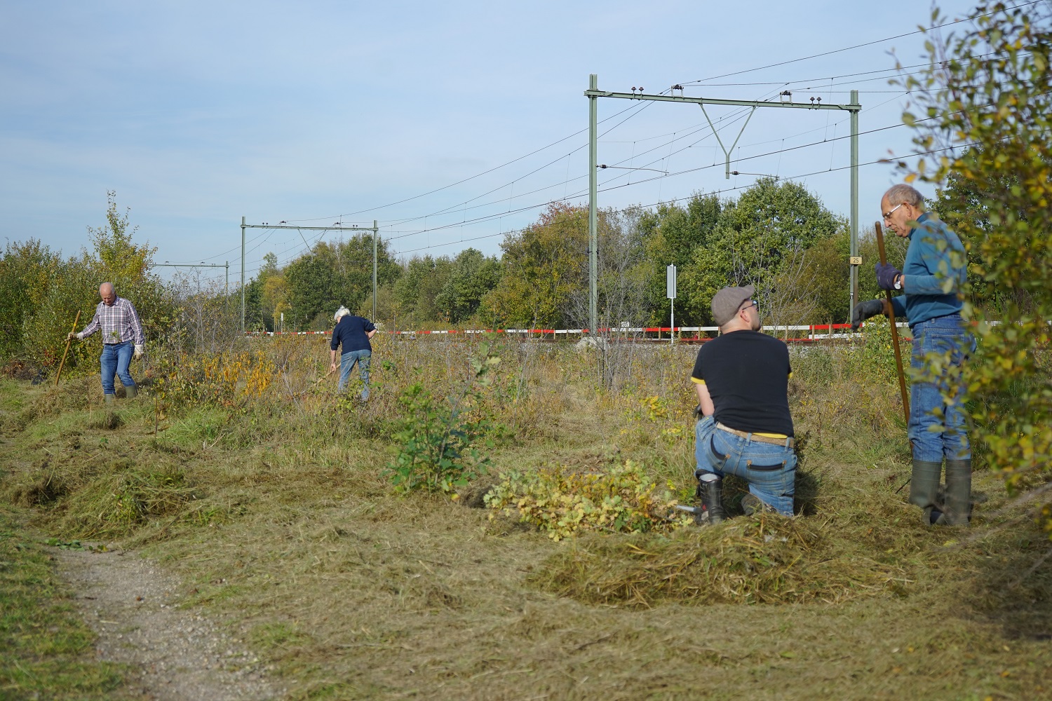 Mensen werken in een veld bij een spoorlijn op een zonnige dag.