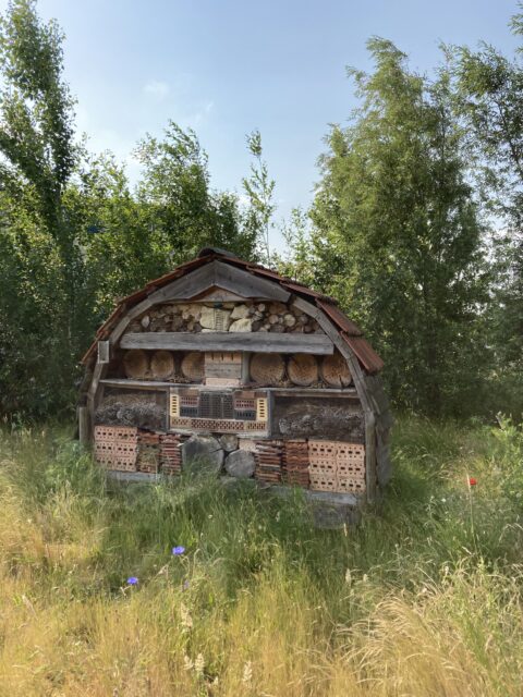 Bijenhotel in grasland met bomen op de achtergrond.