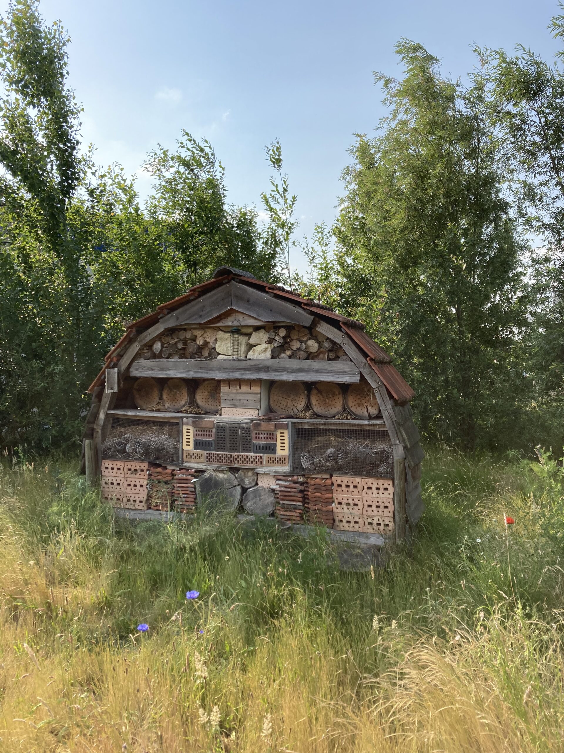 Bijenhotel in grasland met bomen op de achtergrond.