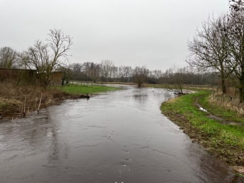Rivier stroomt door een groen landschap op een bewolkte dag; kale bomen langs de oever.