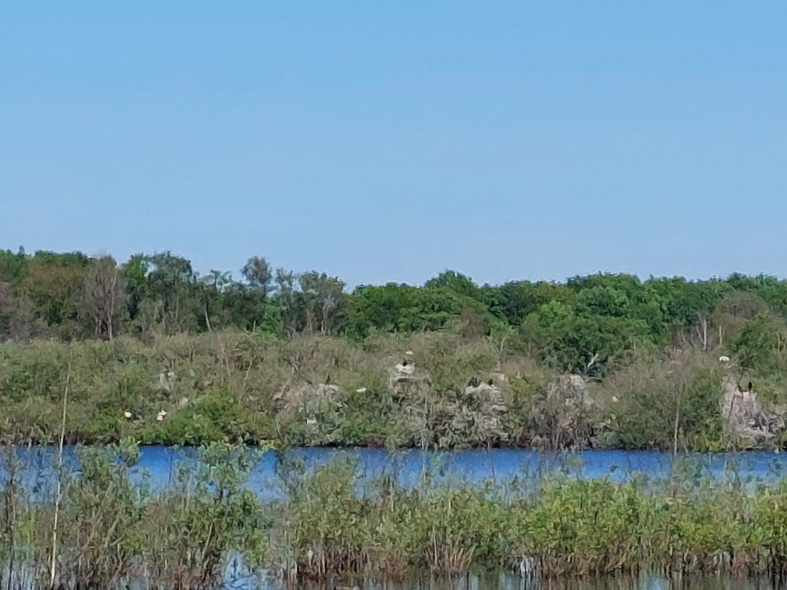Meer, omringd door weelderig groen en struikgewas onder een heldere blauwe lucht.