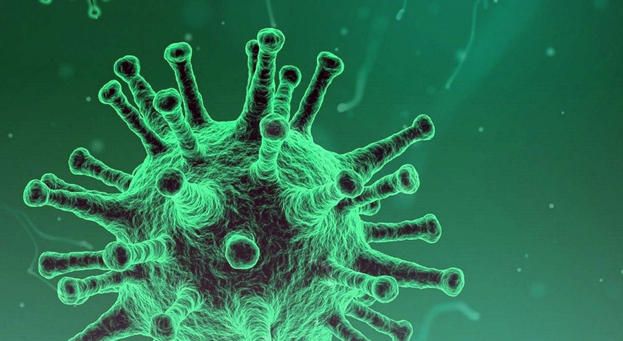 Corona en IVN-activiteiten