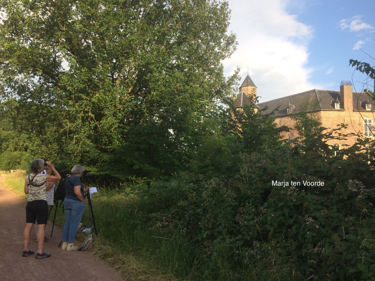 Zomertelling gierzwaluwen in Waardenburg