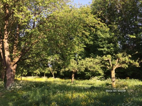 Publieksexcursie Heemtuin en nieuwe initiatieven 