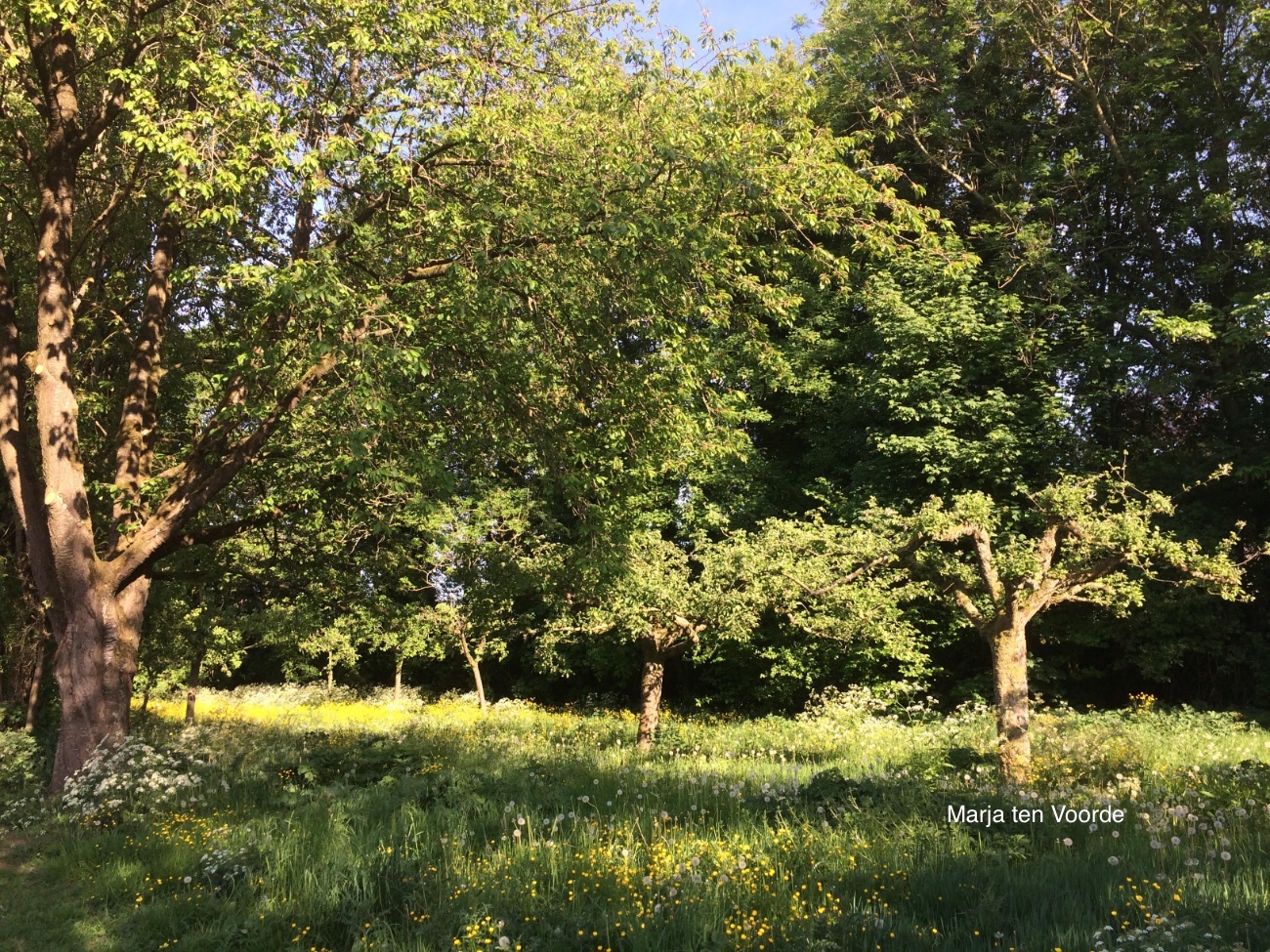 Publieksexcursie Heemtuin en nieuwe initiatieven