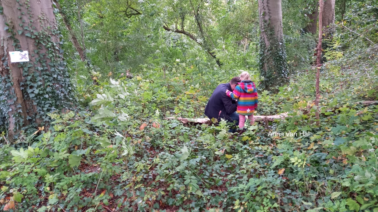 Herfstspeurtocht in het Zoelense bos