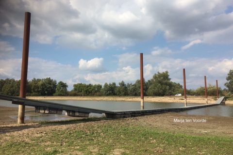 Planten en droogte in onze regio