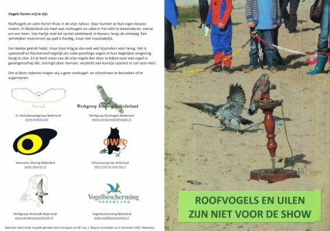 Roofvogels en uilen zijn niet voor de show