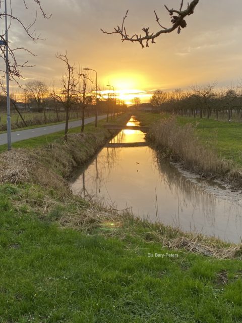 Kandidaat voor de waterschapsverkiezingen: iets voor jou?