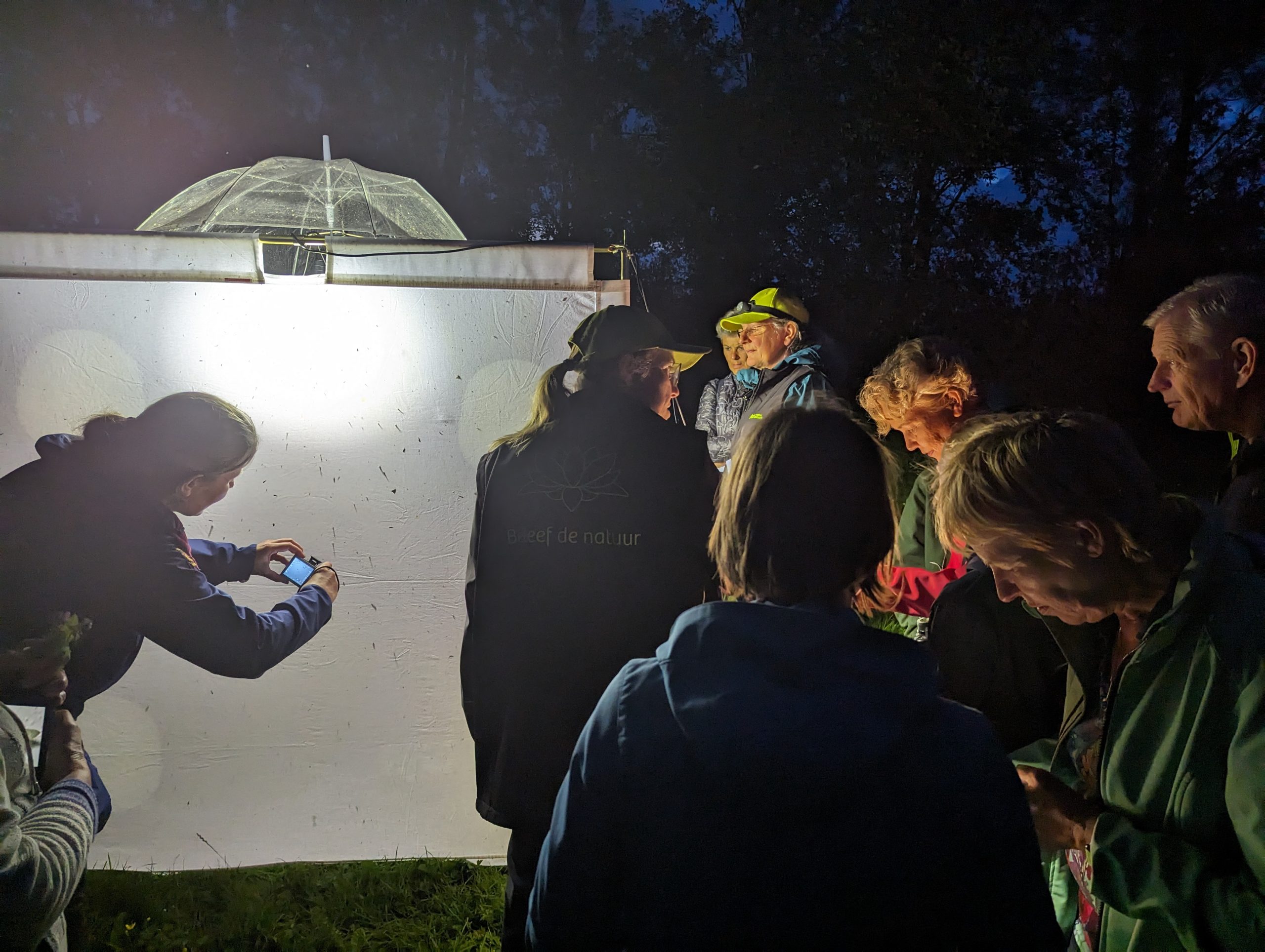 Groep mensen observeert nachtvlinders op een verlicht wit scherm in een donkere buitenomgeving.