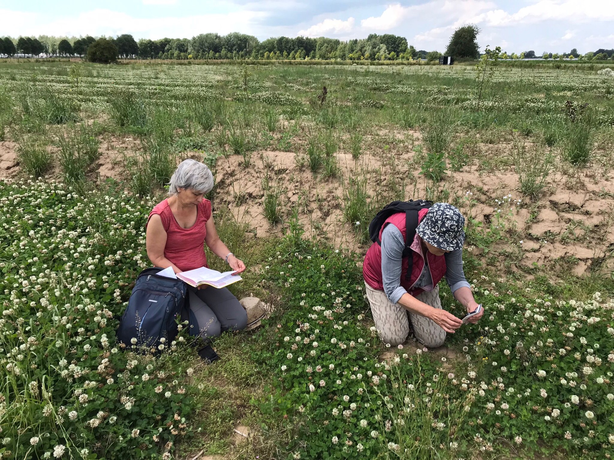 Twee mensen in een bloeiende wei; een leest, de ander fotografeert bloemen.