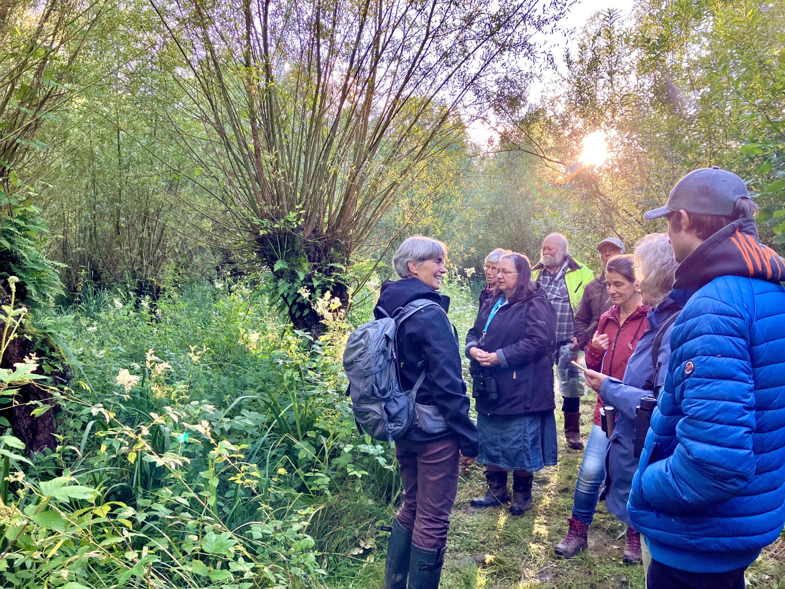 Groep mensen in bosrijke omgeving, luisterend naar gids bij zonsondergang.