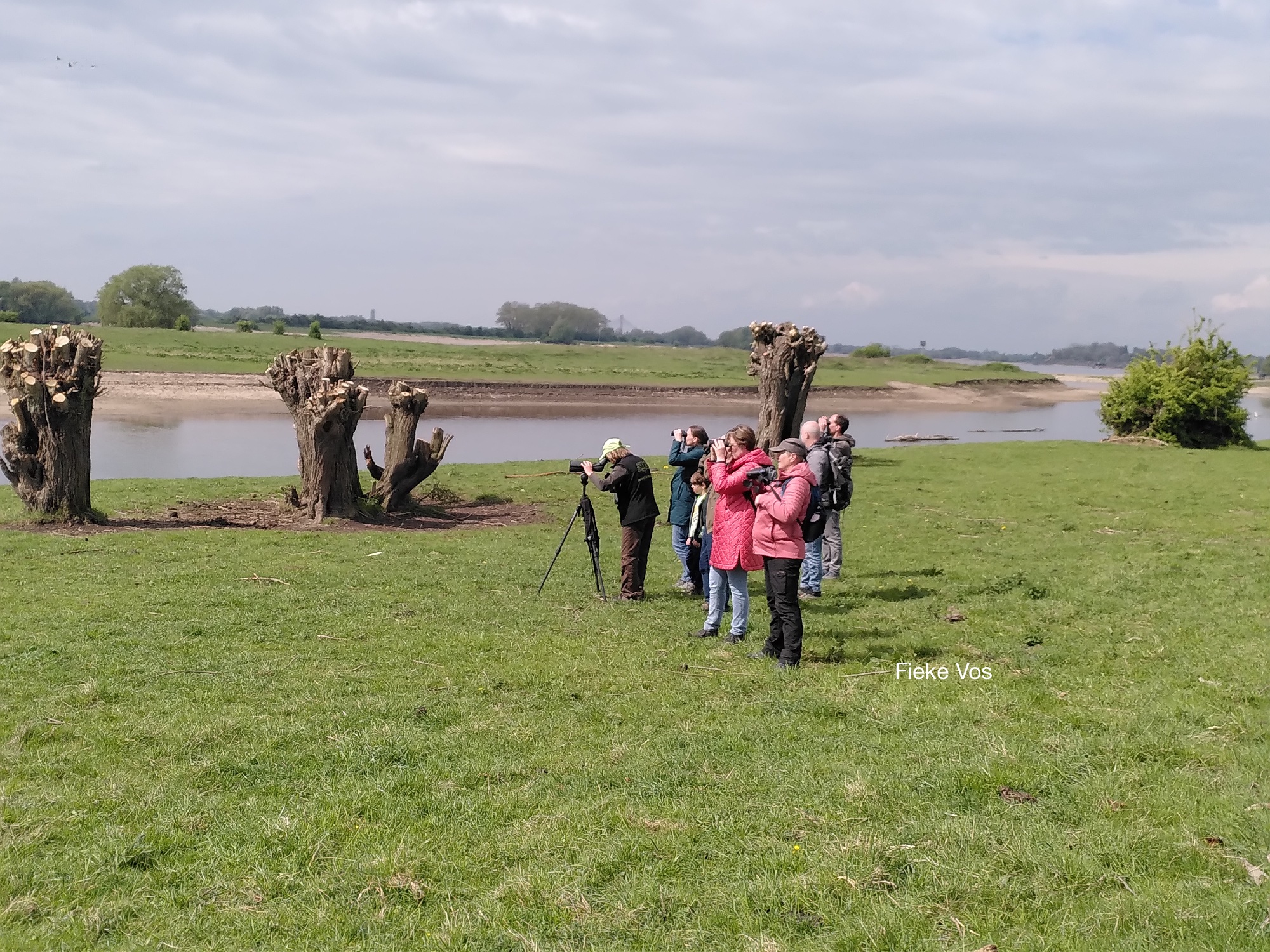 Groep mensen observeert natuur met verrekijkers langs een rivier, omringd door geknotte bomen.