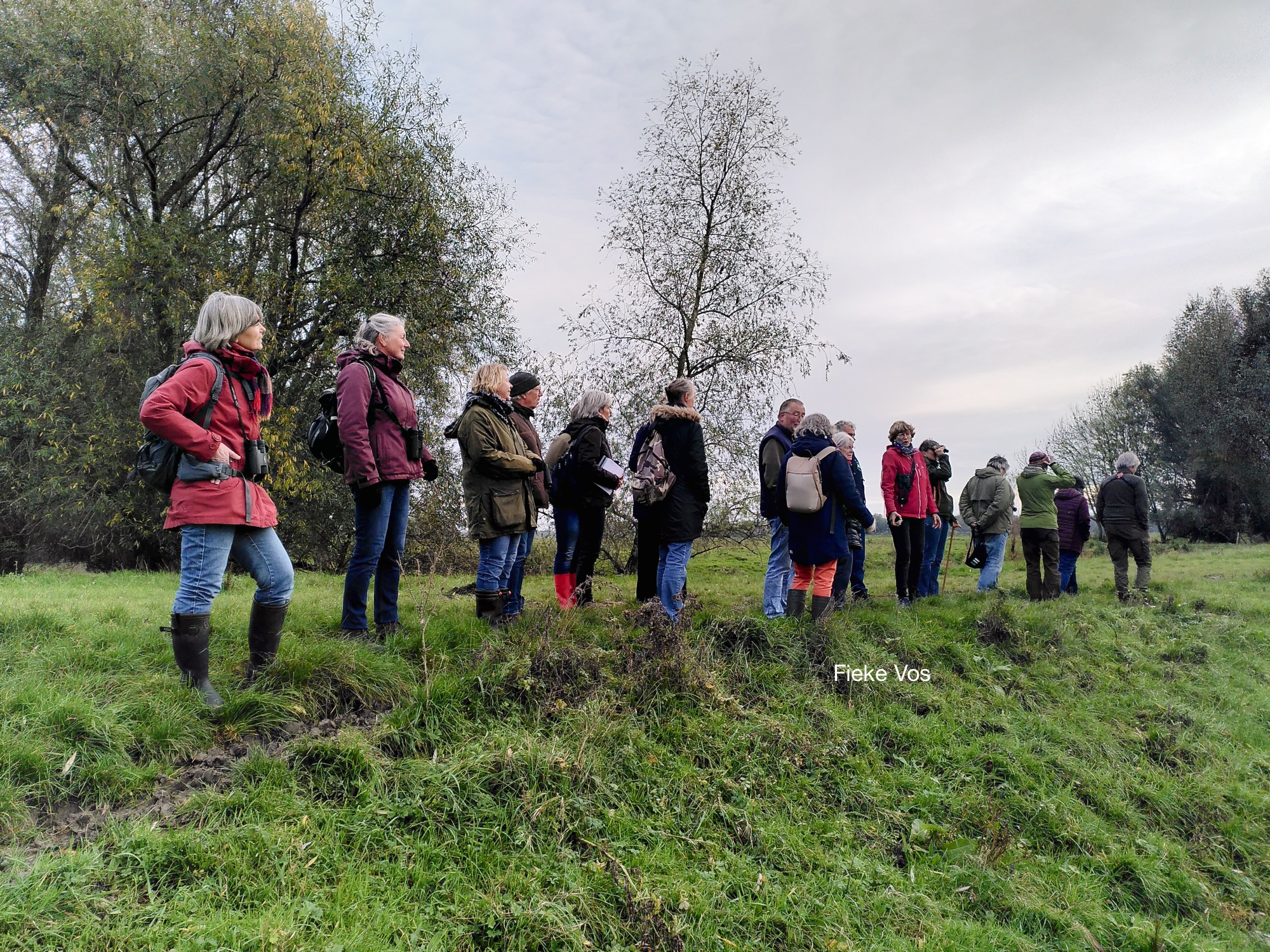 Een groep mensen staat in een grasveld, kijkend naar de natuur in een bosrijke omgeving.