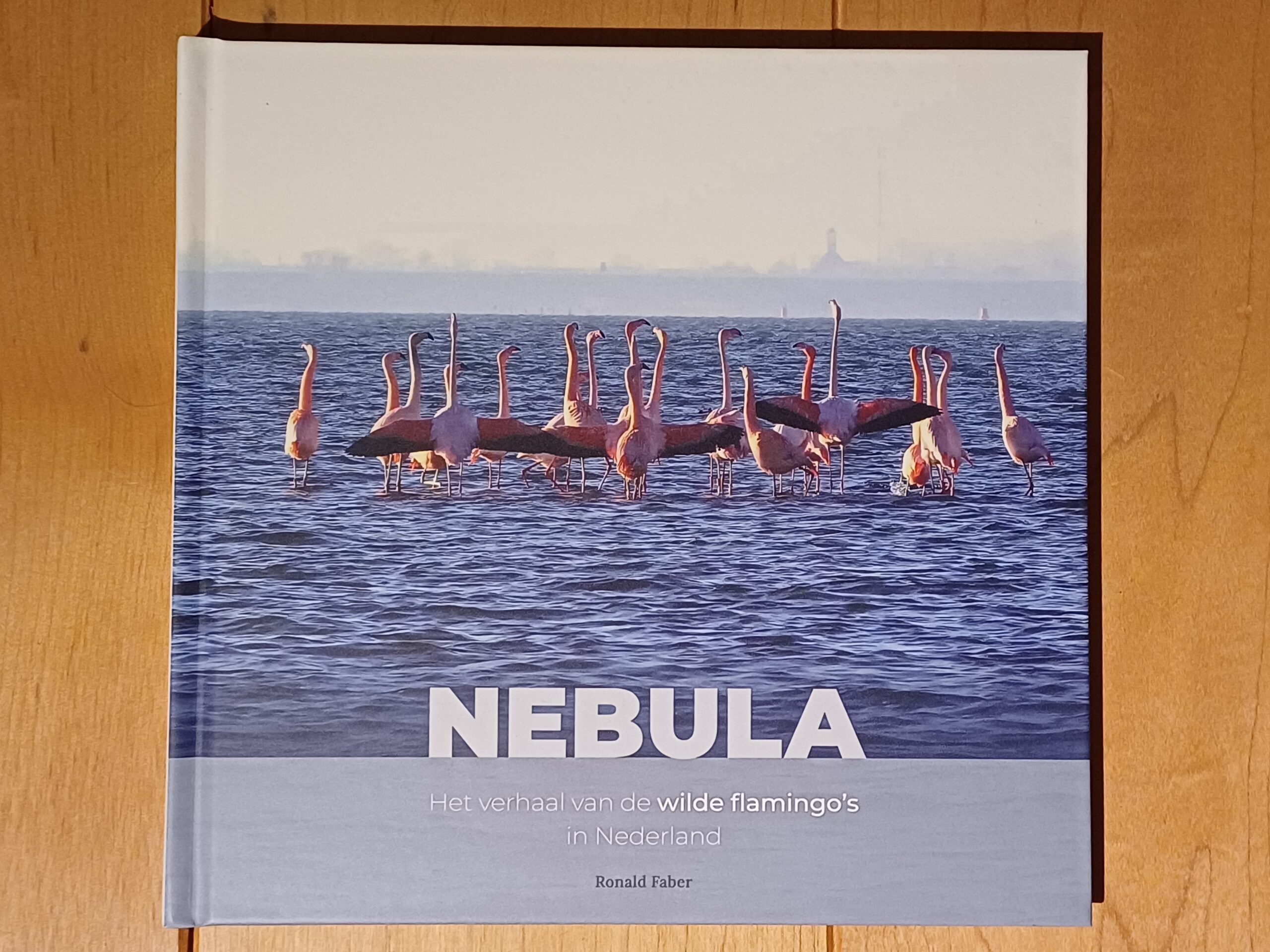 Boek met titel "NEBULA", foto van flamingo's in water op de omslag.