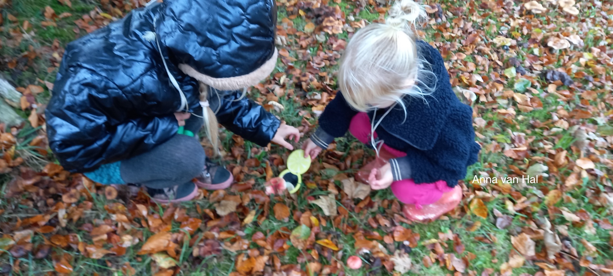 Twee kinderen zoeken naar bladeren op de grond bedekt met herfstbladeren.