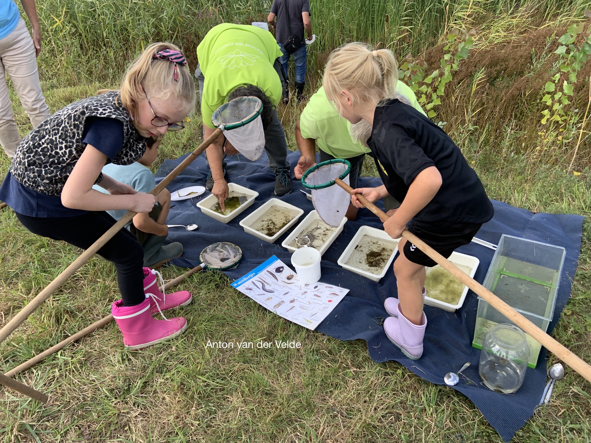 Kinderen onderzoeken water met netten en bakken in een grasveld. Educatief buitenactiviteit.