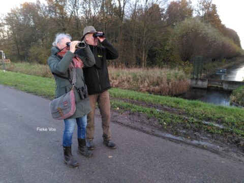 Twee mensen met verrekijkers kijken naar de natuur langs een landelijke weg en bos.
