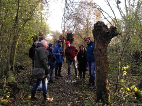 Groep mensen in een bosrijk gebied, in gesprek bij een omgezaagde boom.