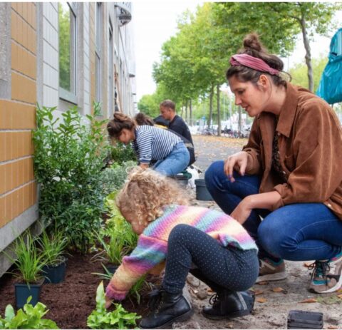 Volwassenen en kinderen planten samen groene struiken langs een straatkant.