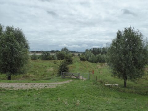 Landelijk landschap met gras, bomen en een hek onder een bewolkte hemel.