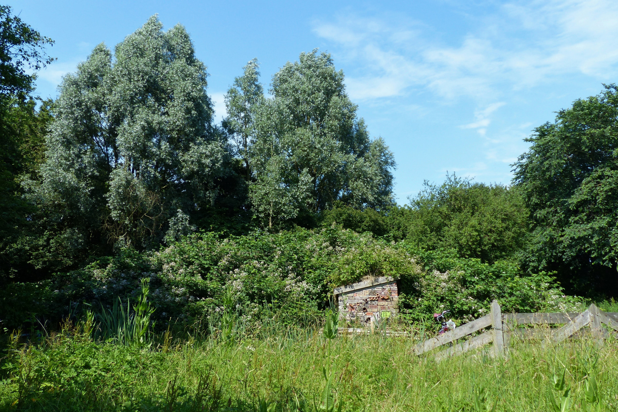 Natuurpad Ecoproject Streekbos